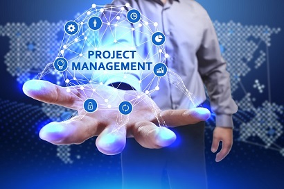 Project Management Consultancy